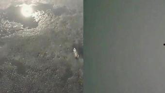 下雨钓鱼视频,享受宁静时光的垂钓视频回顾