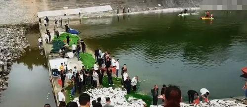 水库打鱼视频,渔网翻涌，鱼儿跳跃