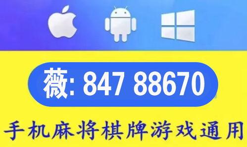微乐外卦视频教程,轻松掌握易经智慧入门秘诀