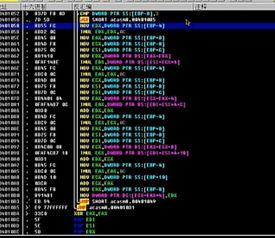 反汇编视频,深入剖析代码底层奥秘