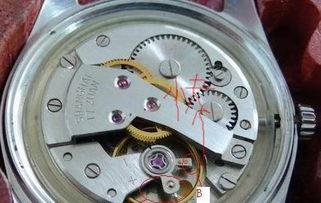 机械表维修视频,揭秘古董时计的保养与修复技巧