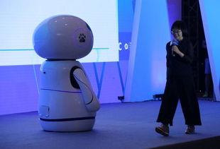 小度机器人 视频,智能生活新伙伴，视频揭秘其魅力与功能