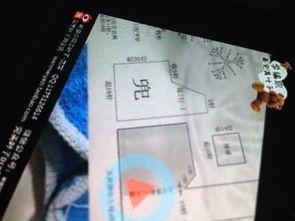 史迪仔马甲编织视频