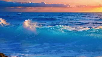 大海的视频,大海视频深度解析