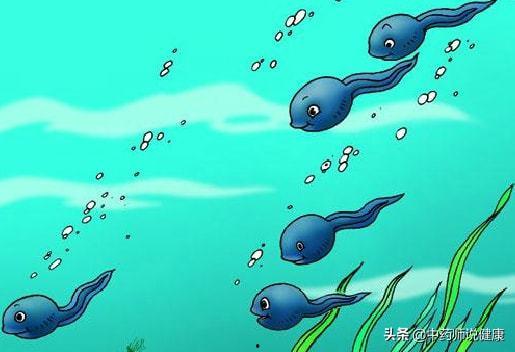 蝌蚪 视频,探索蝌蚪世界的奇妙之旅