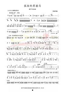 葫芦丝表演视频欣赏,演绎民族风情之美