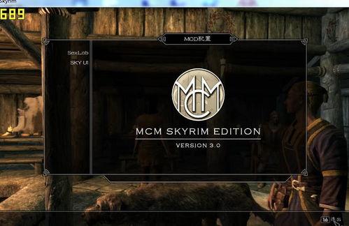 老滚5爱之实验室视频,揭秘浪漫与魔法的交织之地