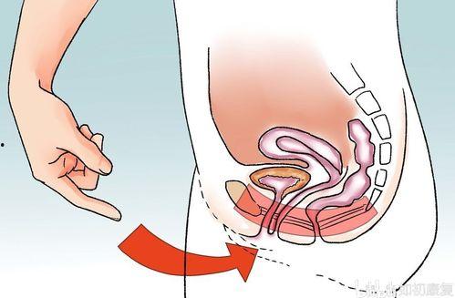 盆底肌运动视频教程,轻松掌握居家锻炼秘籍