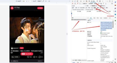 博客视频下载,轻松掌握高效视频获取技巧